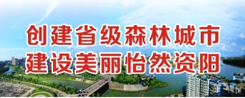 操擦bb创建省级森林城市 建设美丽怡然资阳